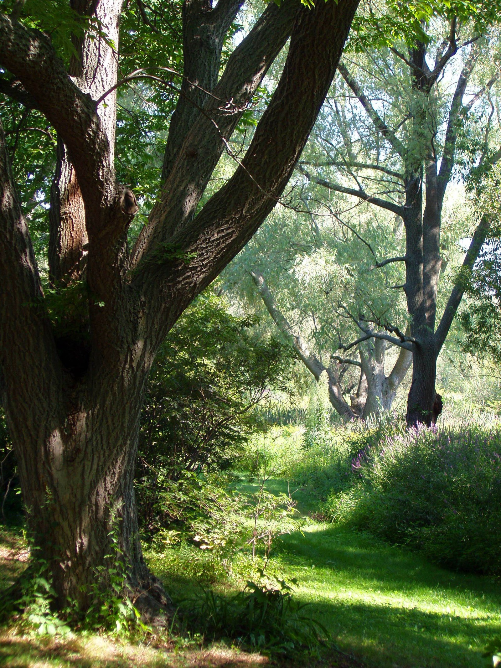 Jamaica Plain — professional movers serving Jamaica Plain and surrounding areas